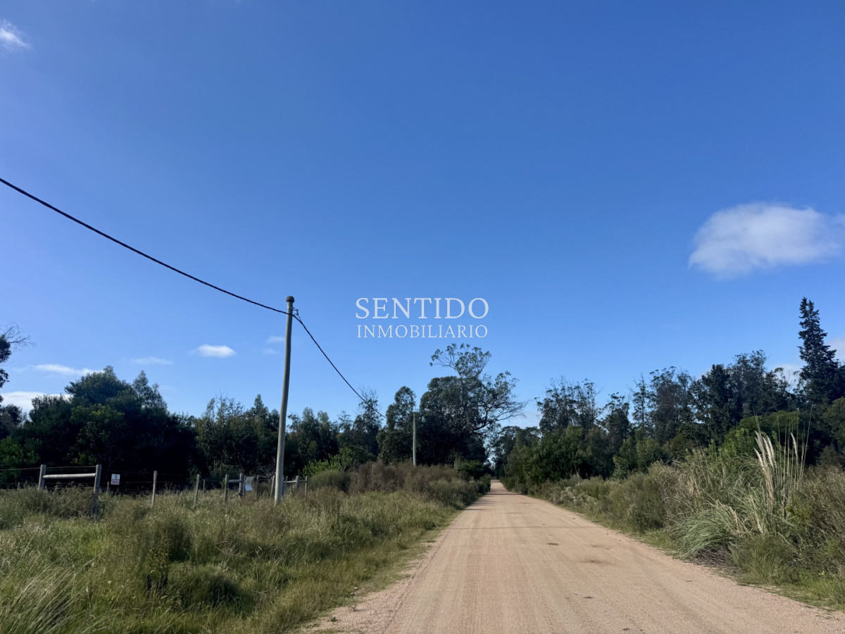 Terreno