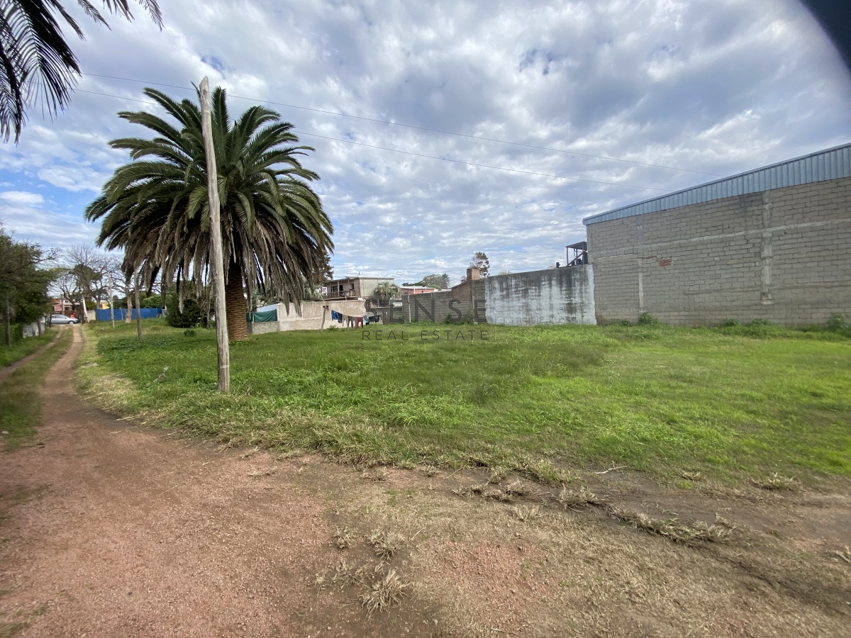 Terreno