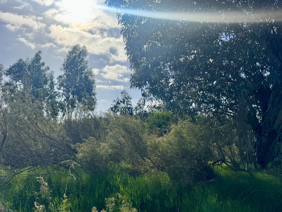 Terreno