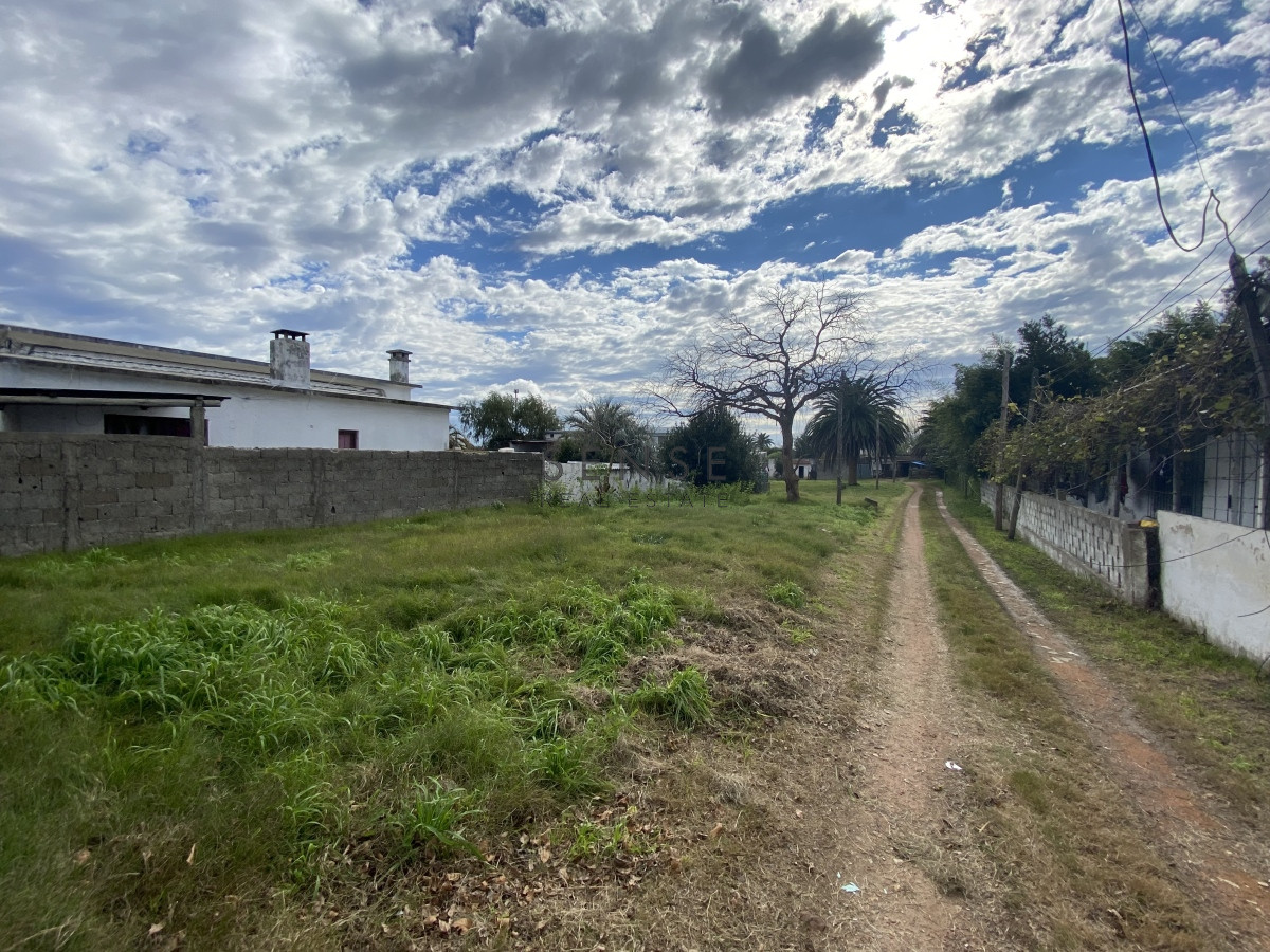 Terreno