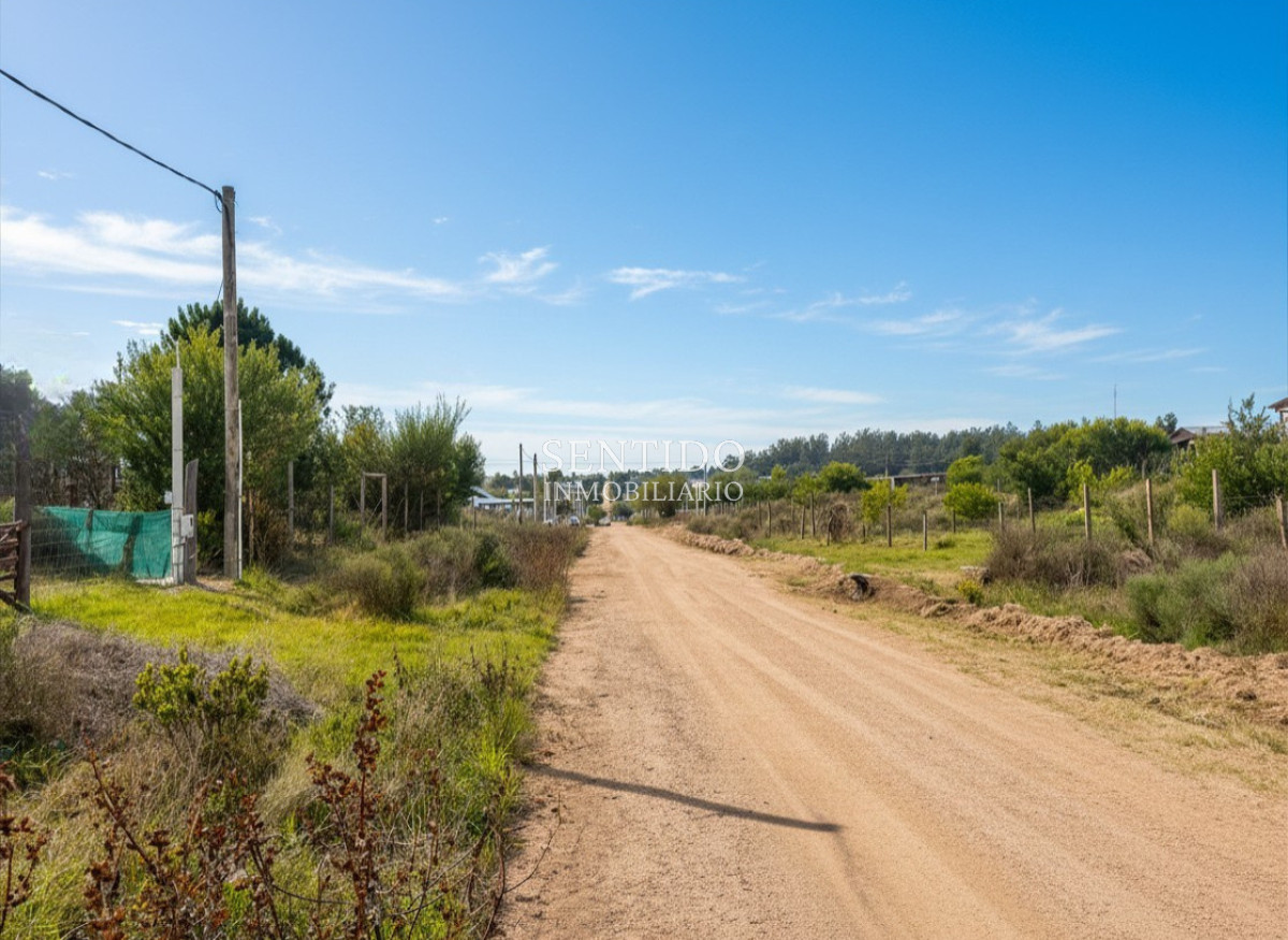 Terreno