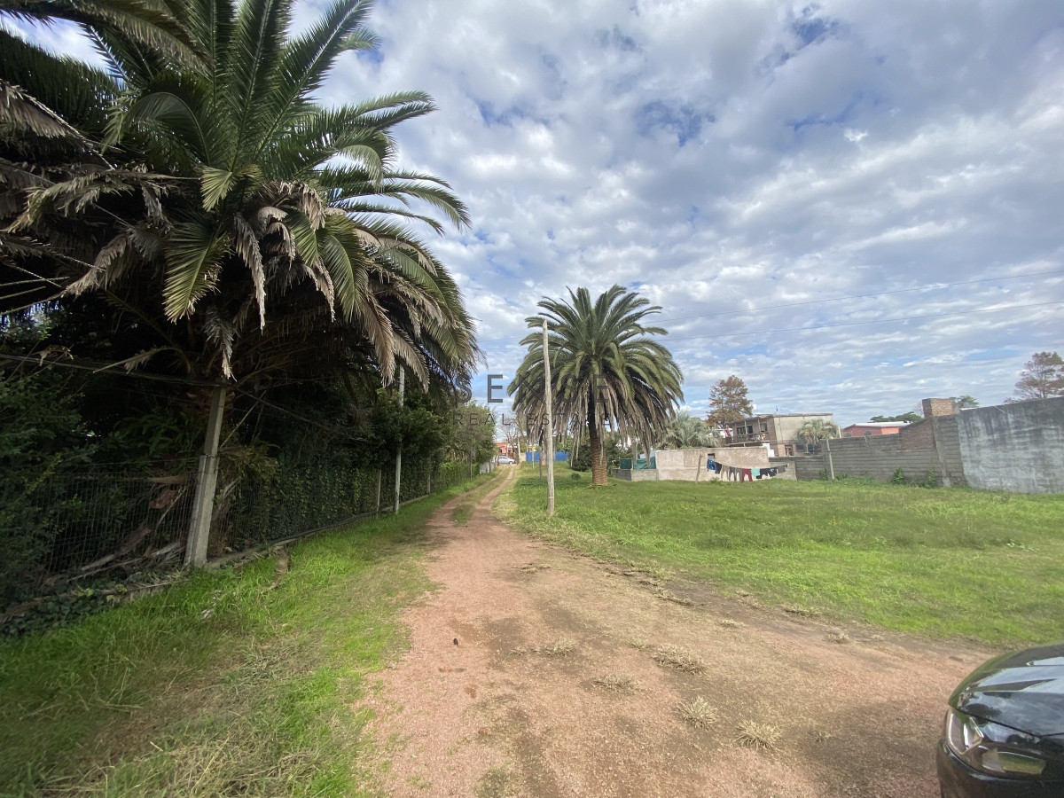 Terreno