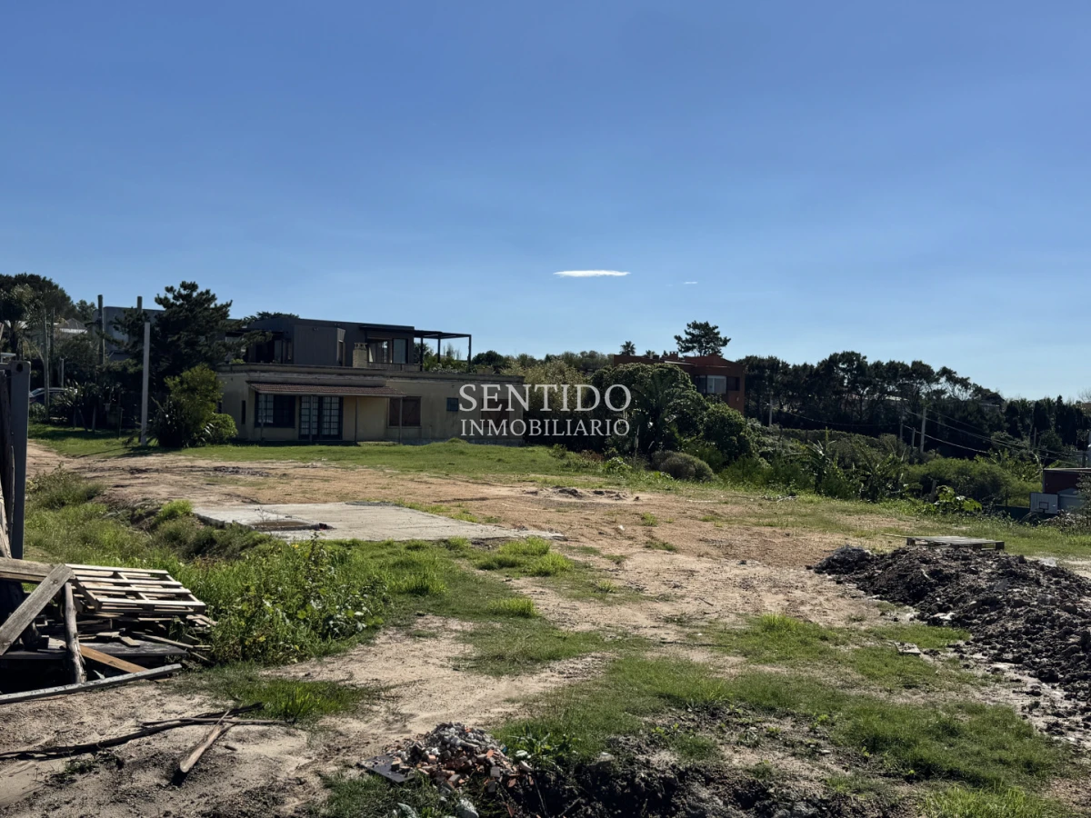 Terreno