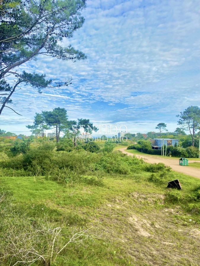 Terreno