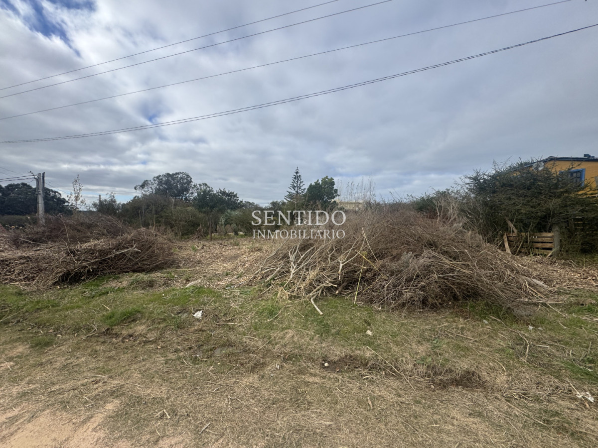 Terreno