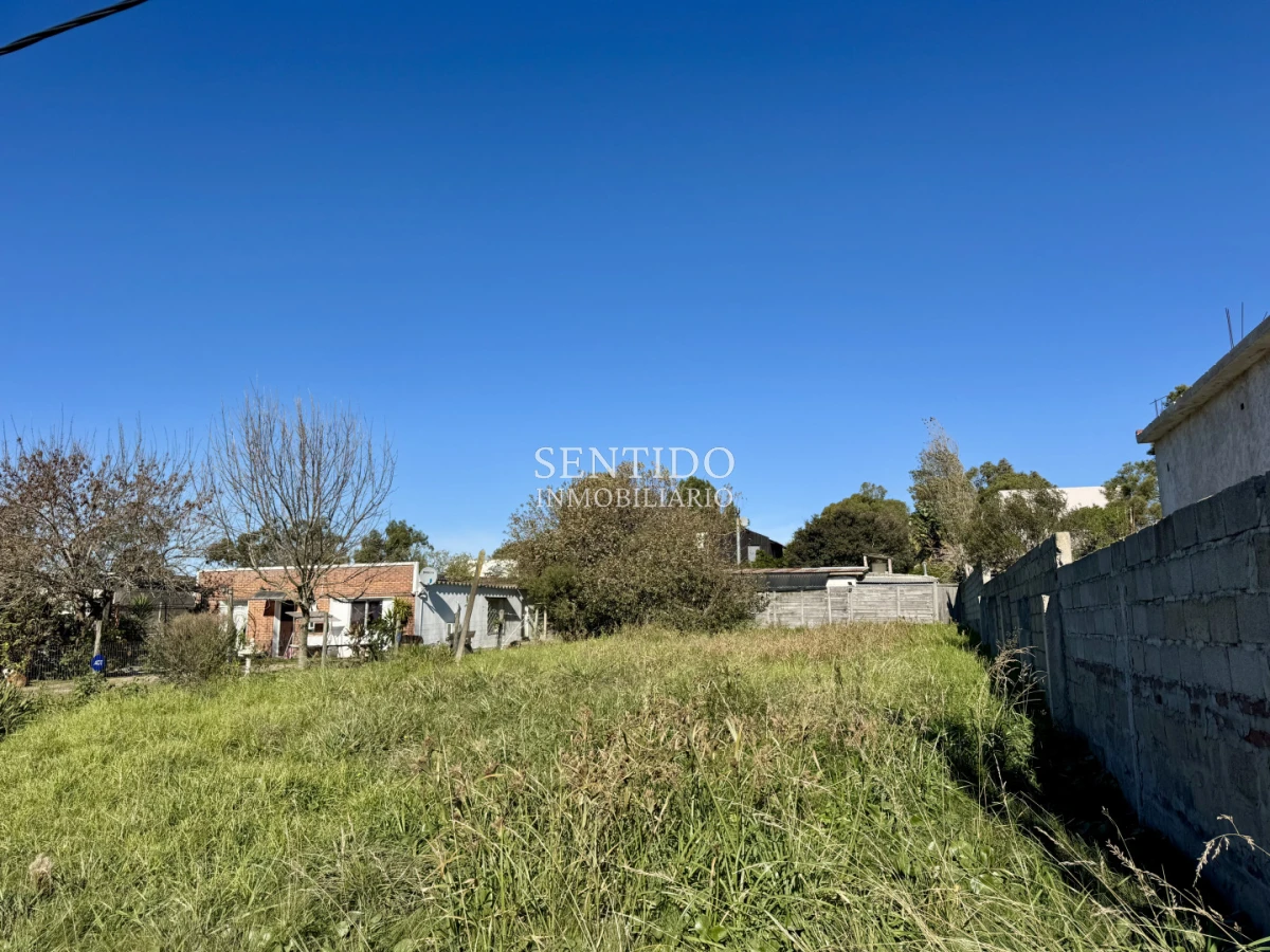 Terreno