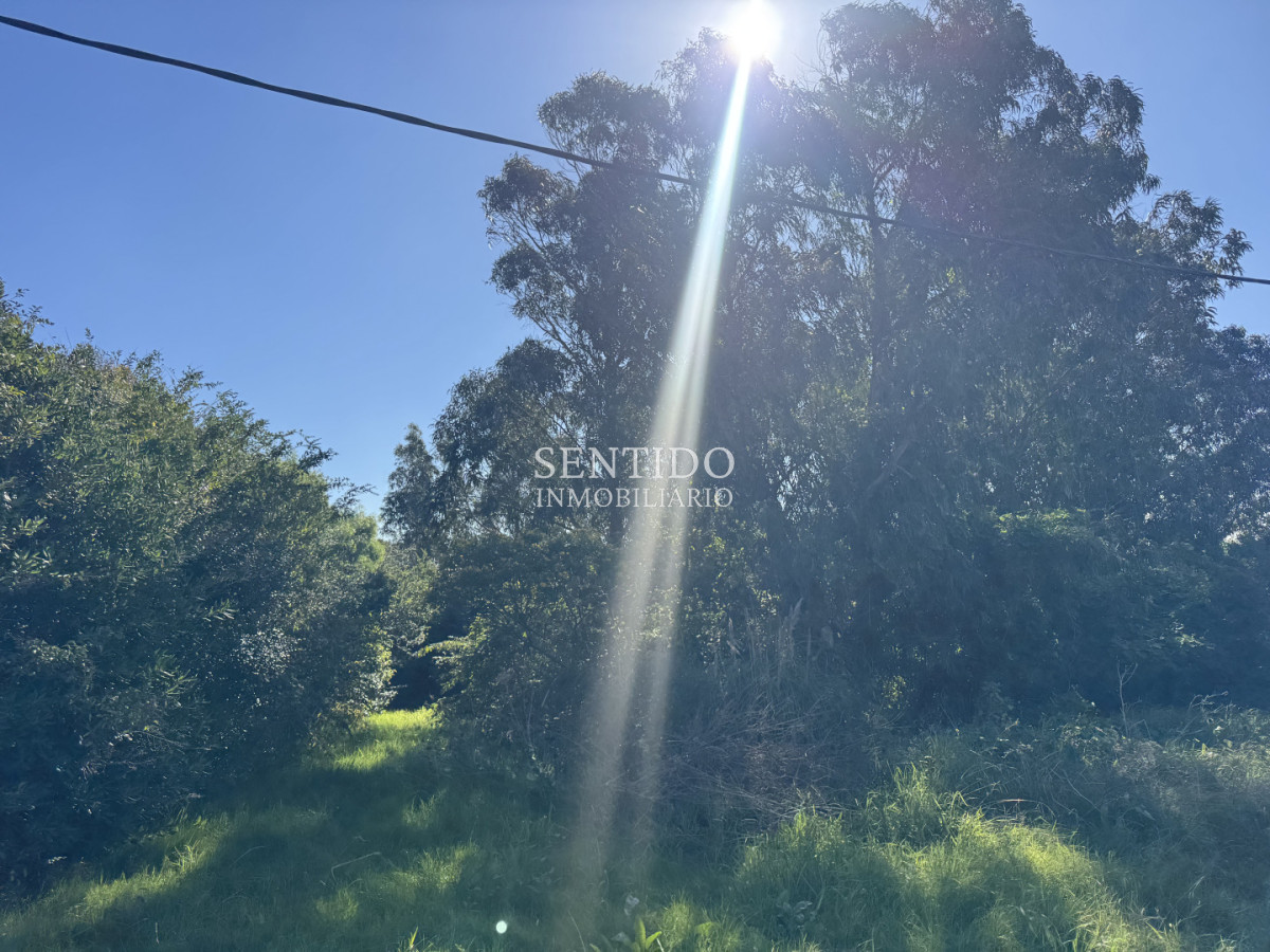 Terreno