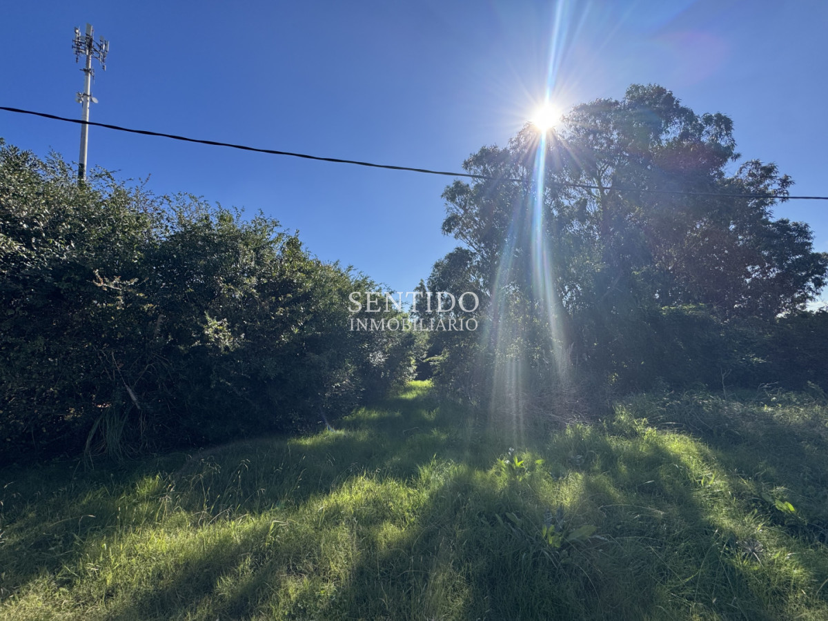 Terreno