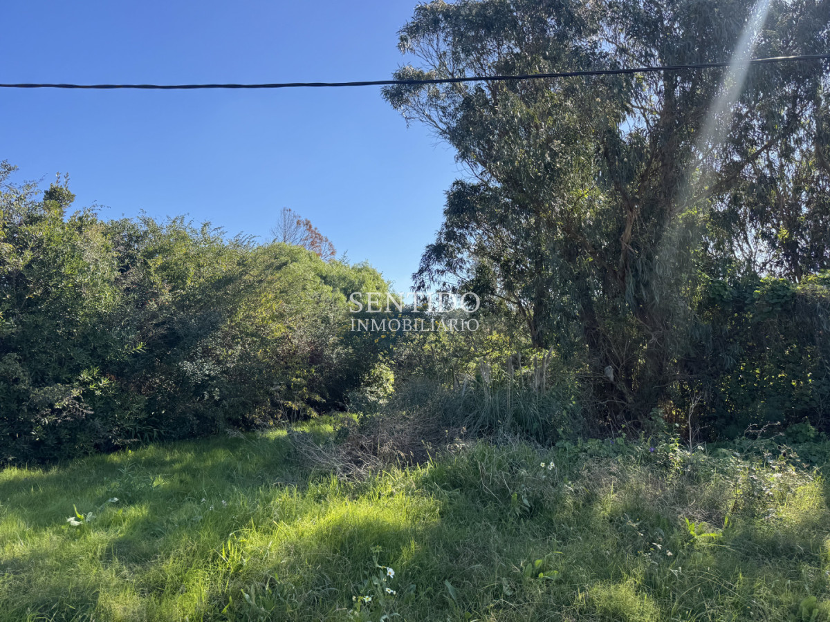 Terreno