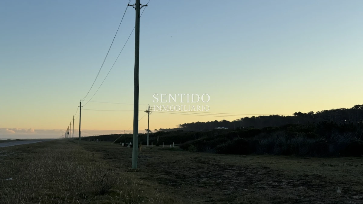 Terreno