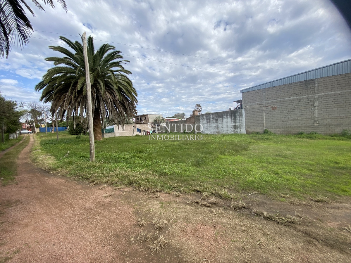 Terreno