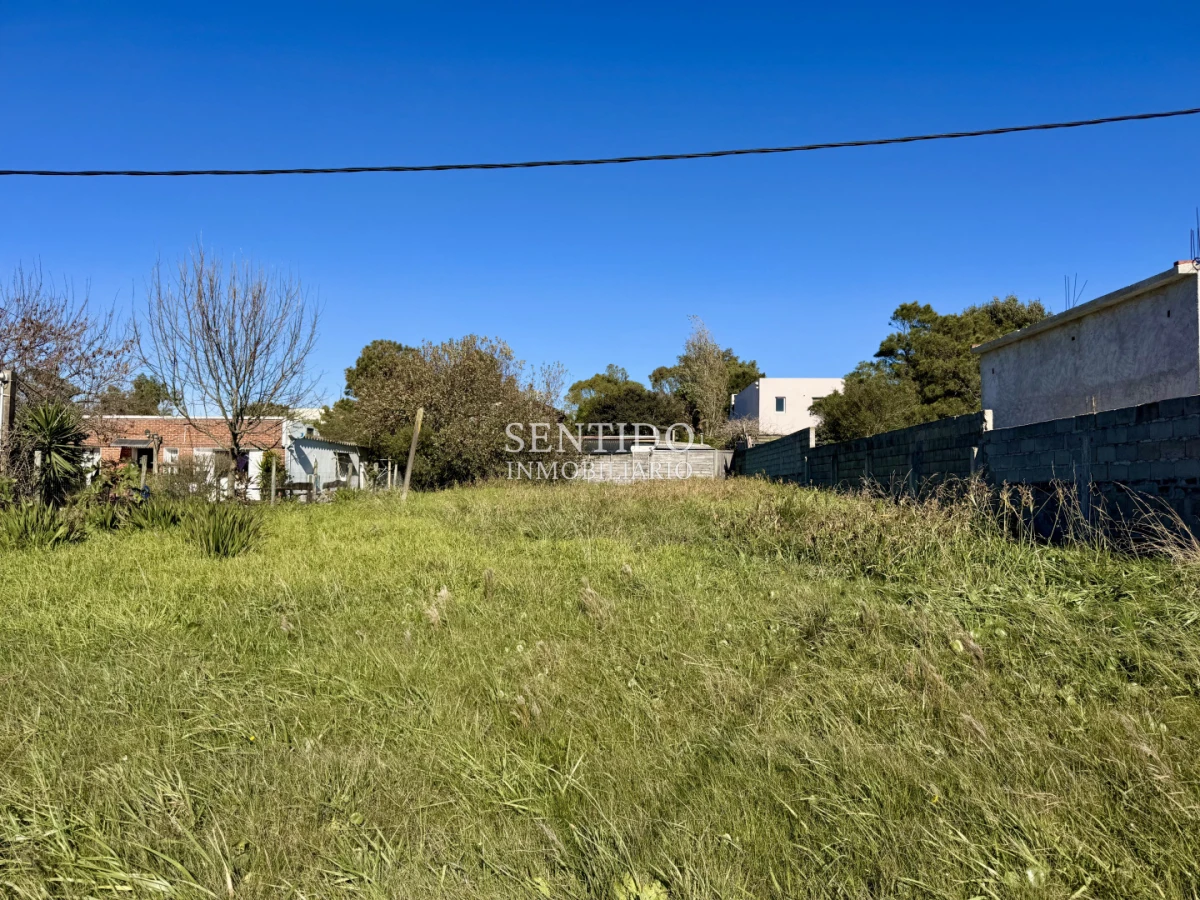 Terreno