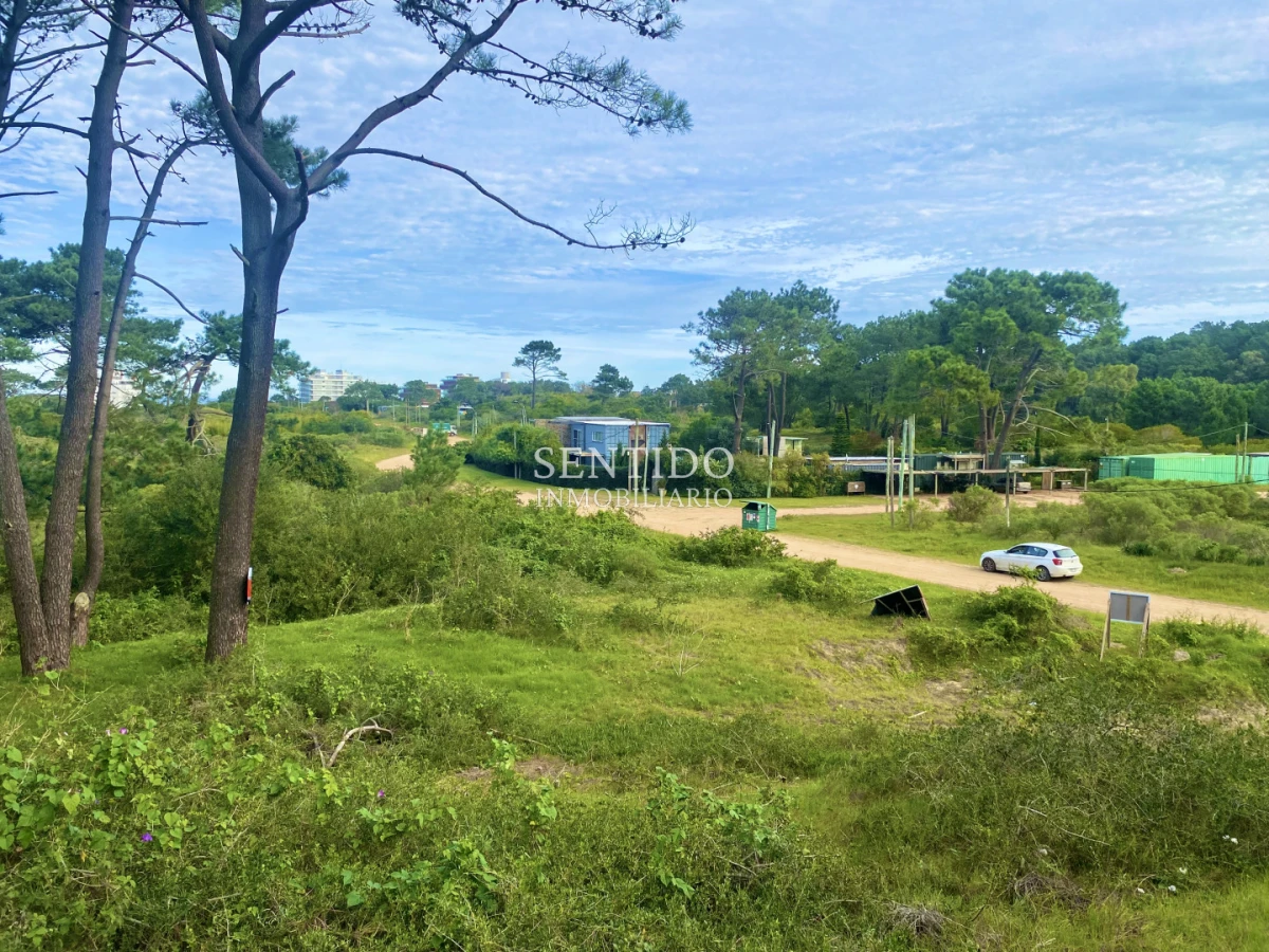 Terreno