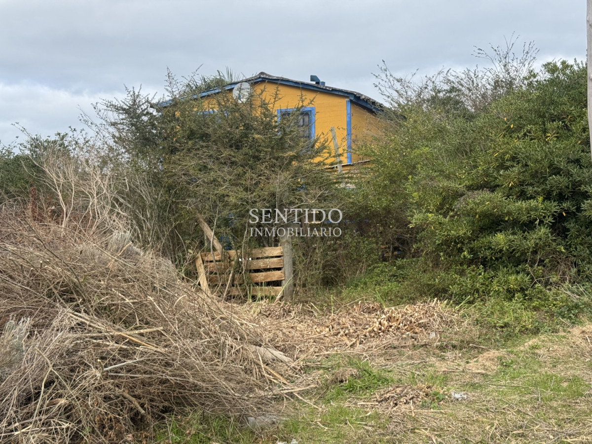 Terreno