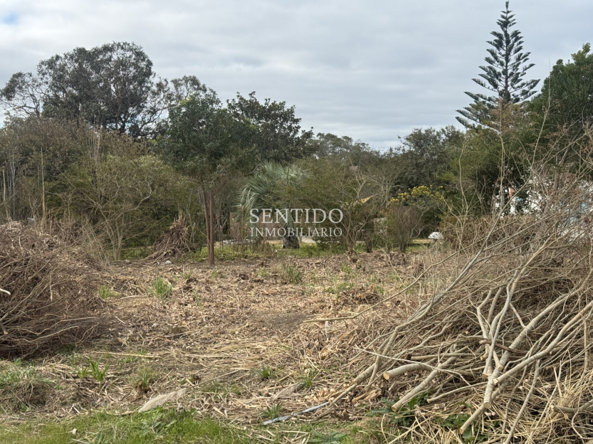 Terreno