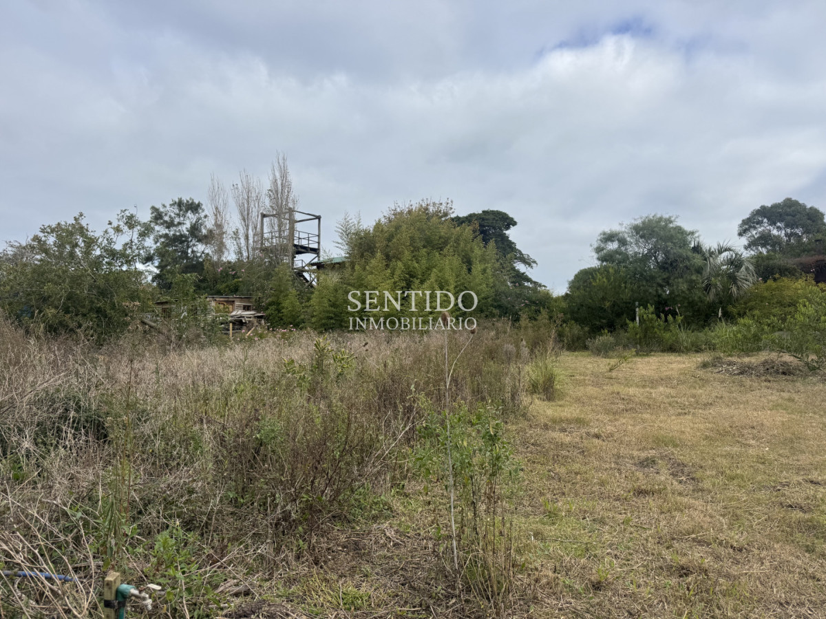 Terreno