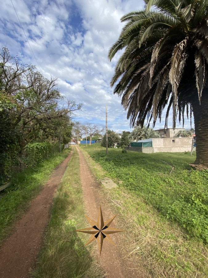 Terreno