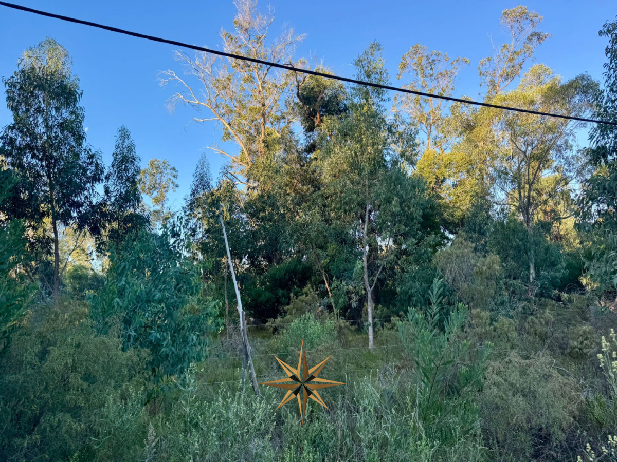 Terreno