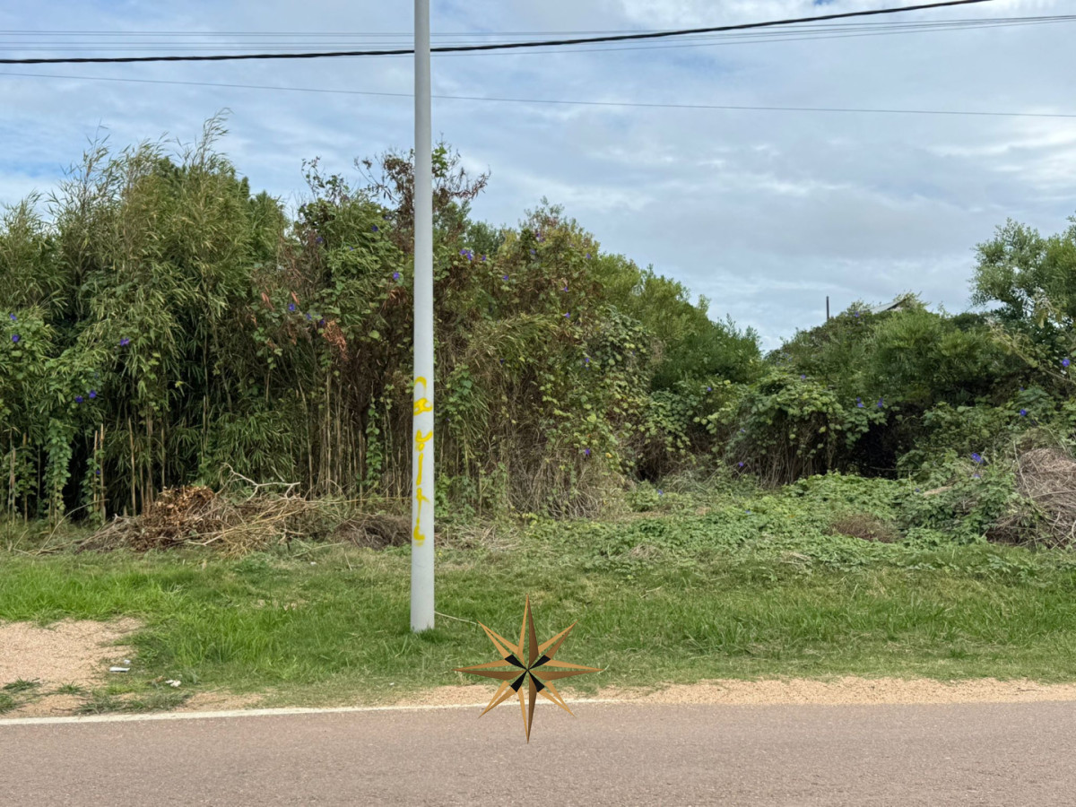 Terreno