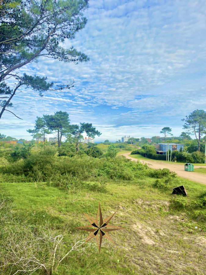 Terreno