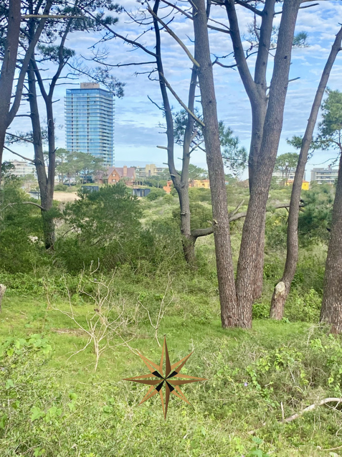 Terreno