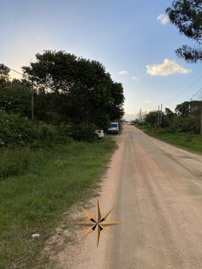Terreno