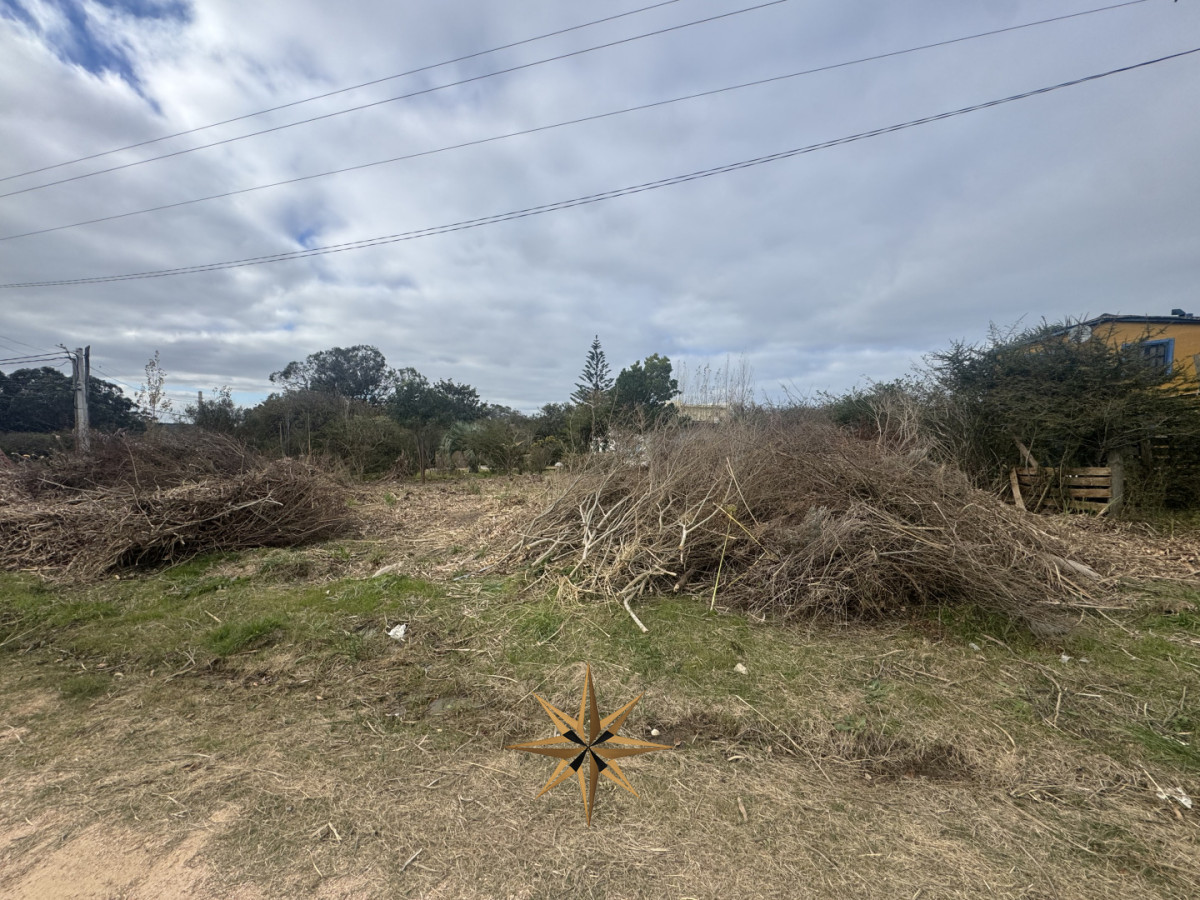 Terreno