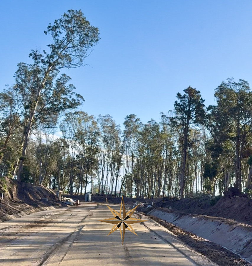 Terreno