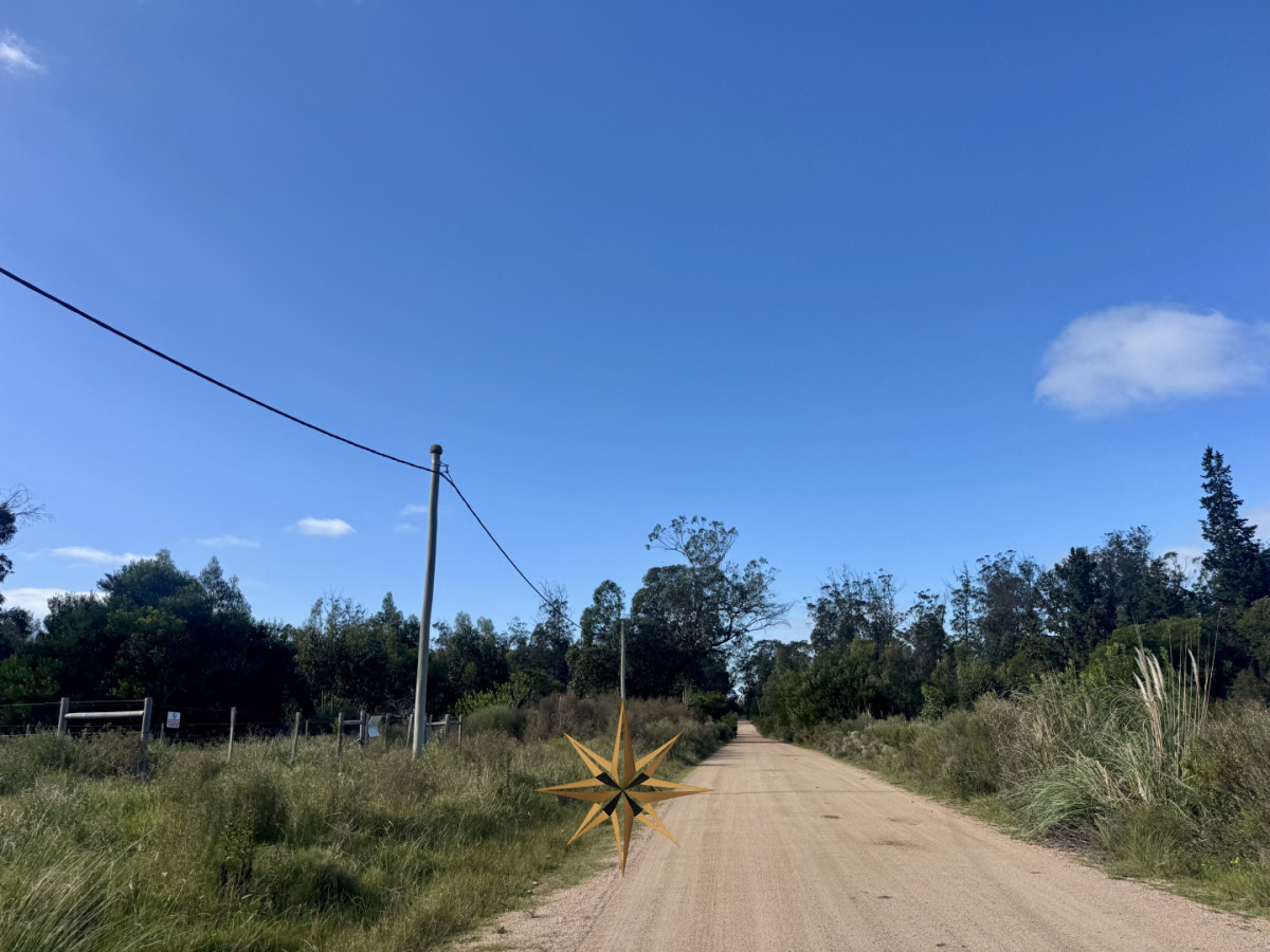 Terreno