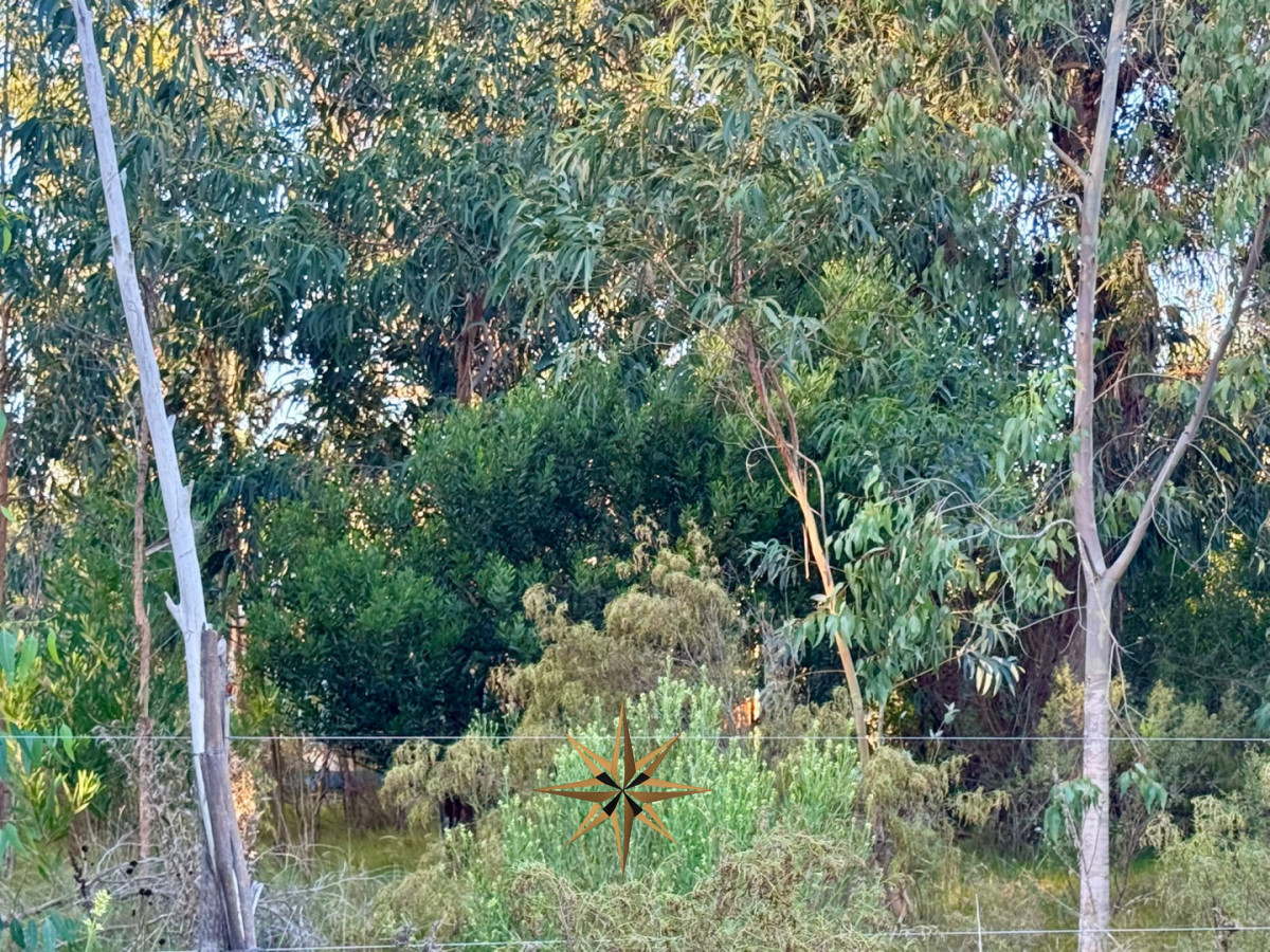 Terreno