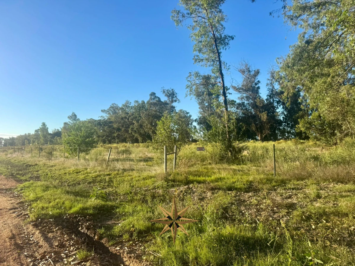 Terreno