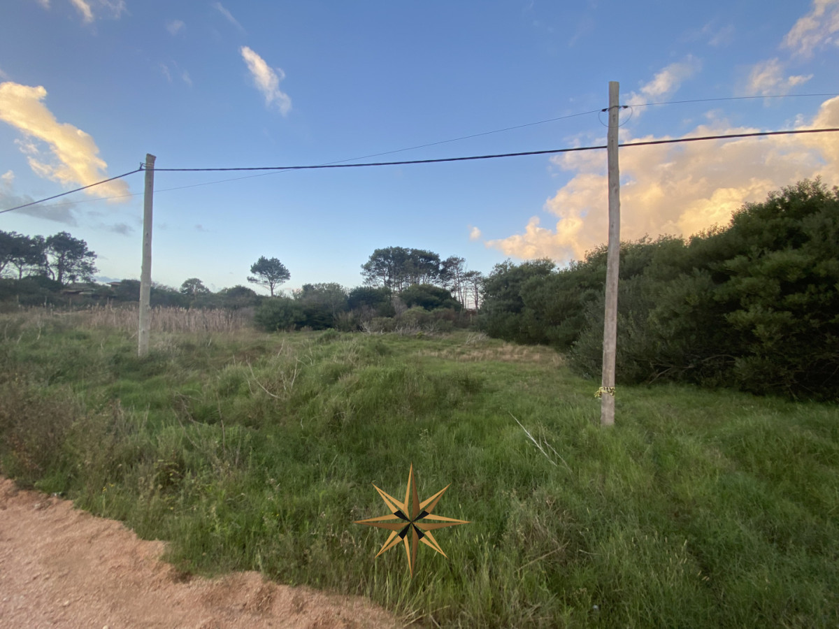 Terreno