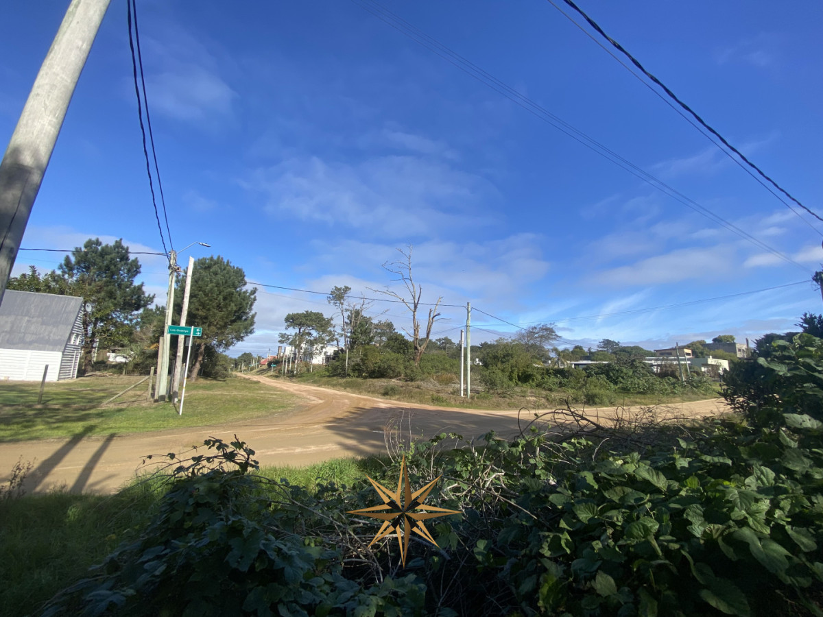 Terreno