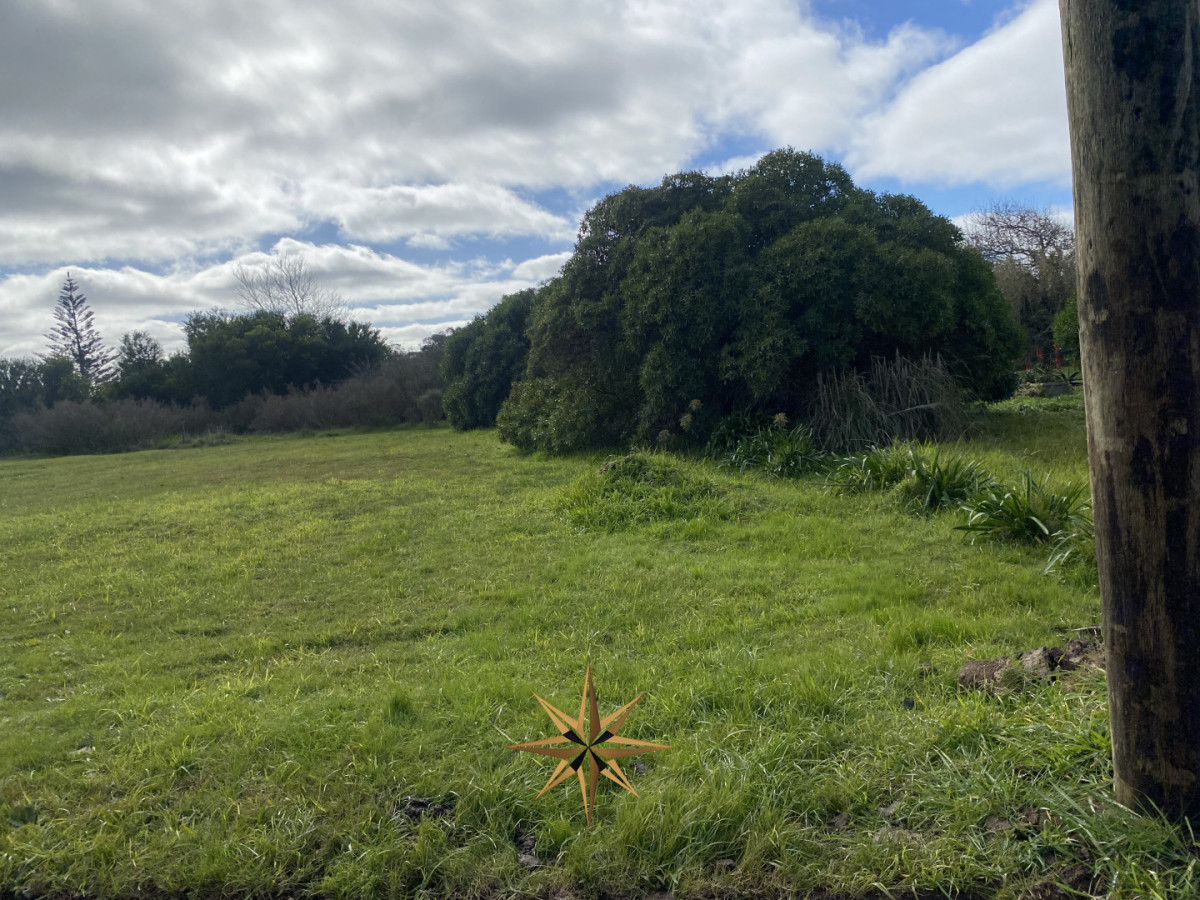 Terreno
