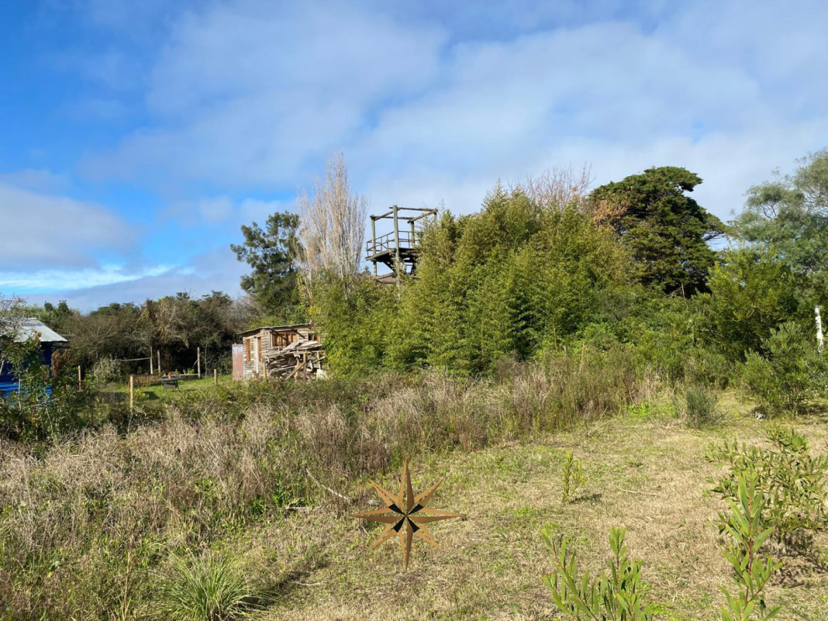 Terreno