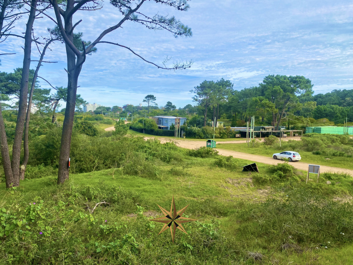 Terreno