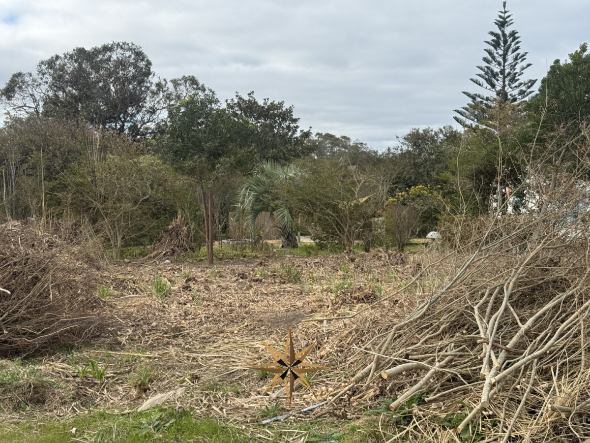 Terreno