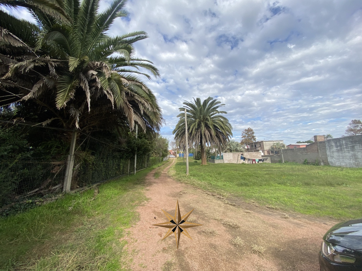 Terreno