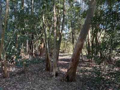 Terreno en La Juanita