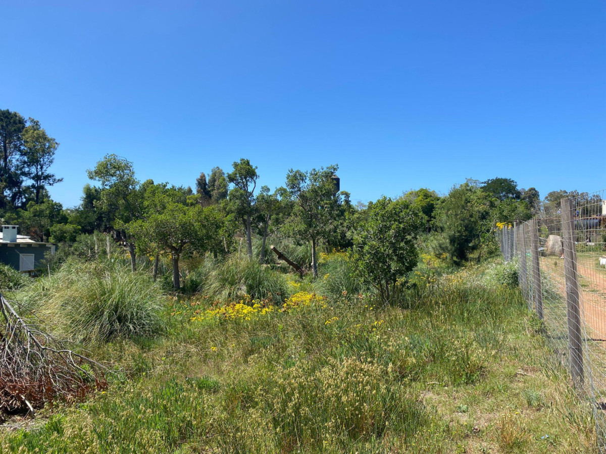 Terreno en barra verde