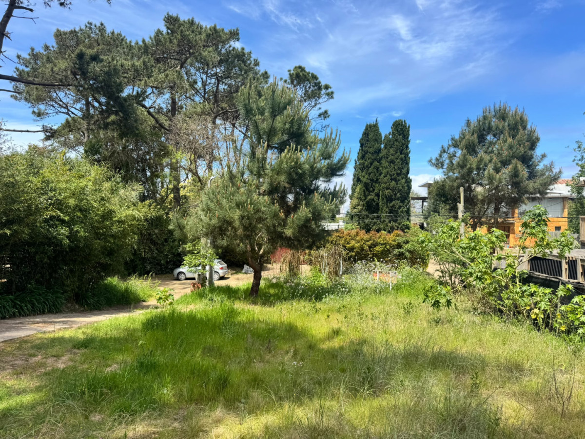 Terreno en VENTA- MONTOYA