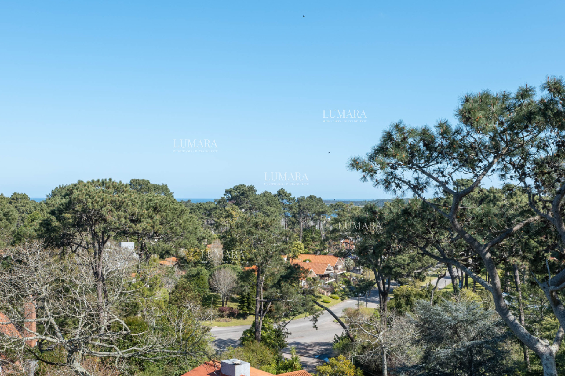 Apartamento ID.3167 - OCEAN DRIVE COUNTRY - 1 DORM 
