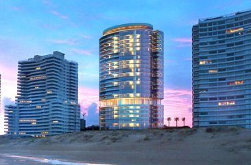 TRUMP TIPOLOGIA 04