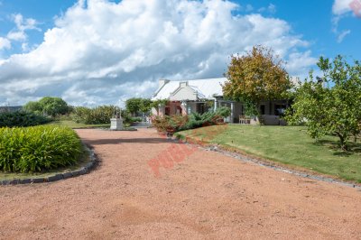 chacra  ruta 12 - laguan del sauce  - mkt5721h