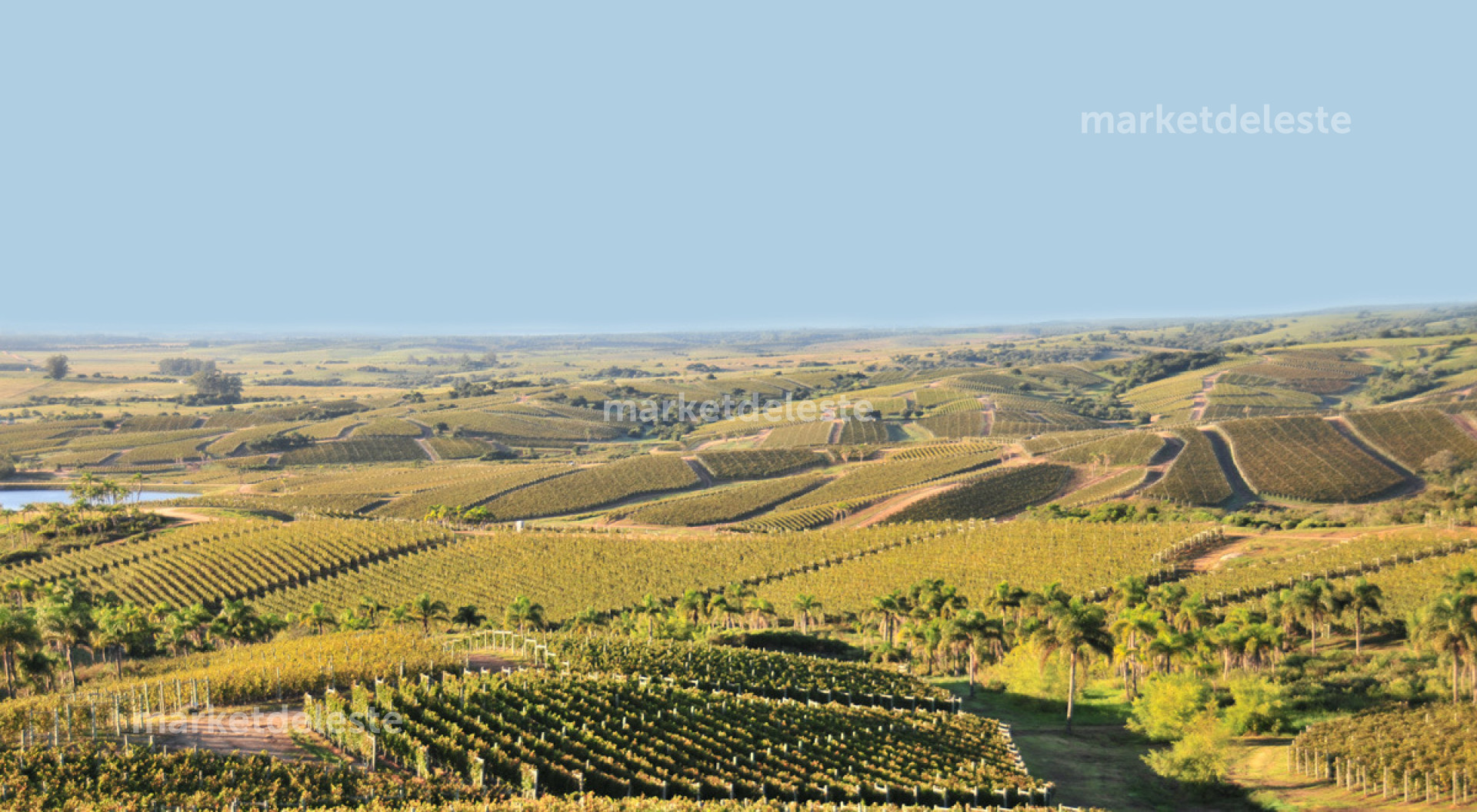 CHACRA EN LA TOSCANA DE GARZON - N° 13 - MKT8417H