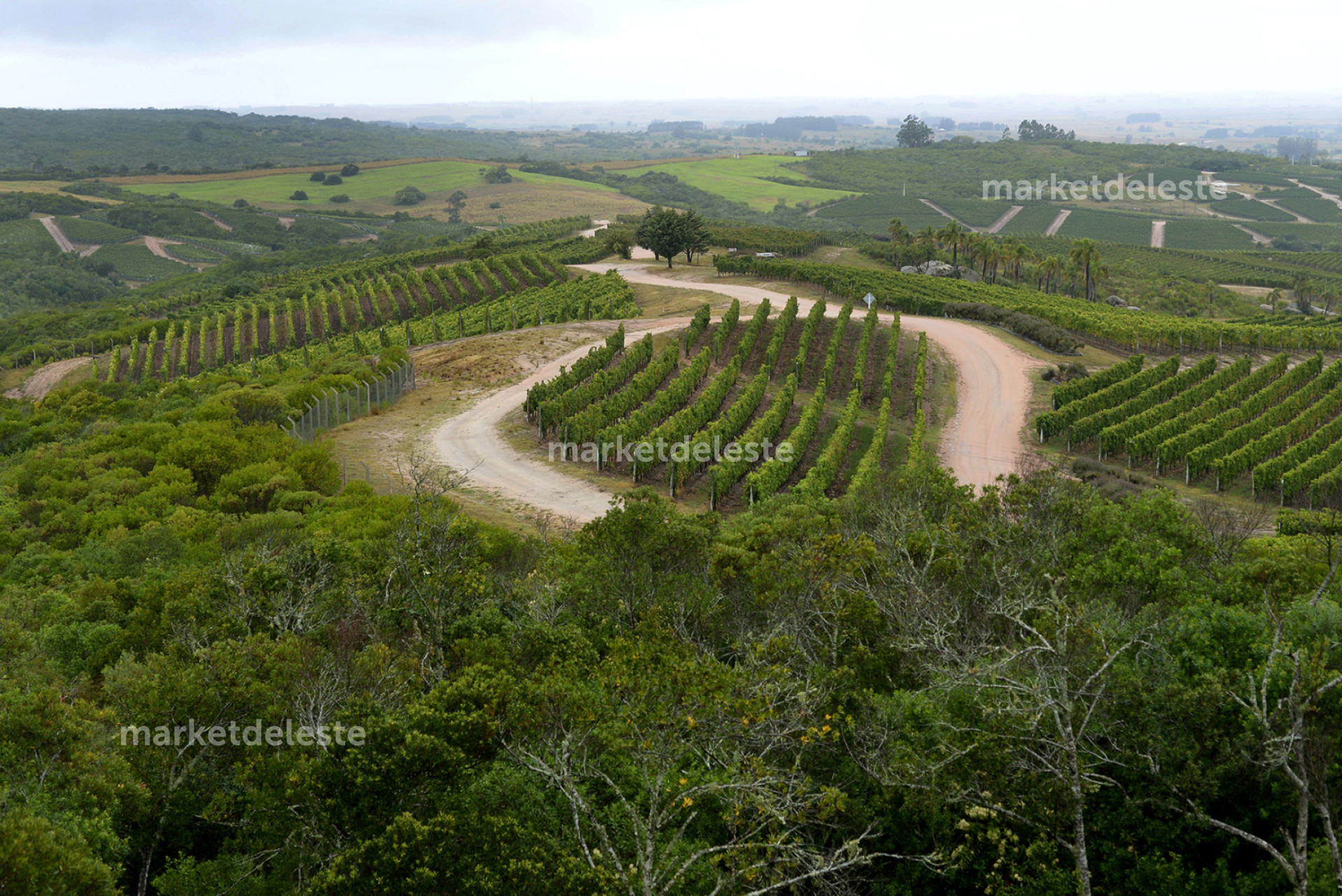 CHACRA EN GARZON - LA TOSCANA DE GARZON CHACRA 15  - MKT8418H