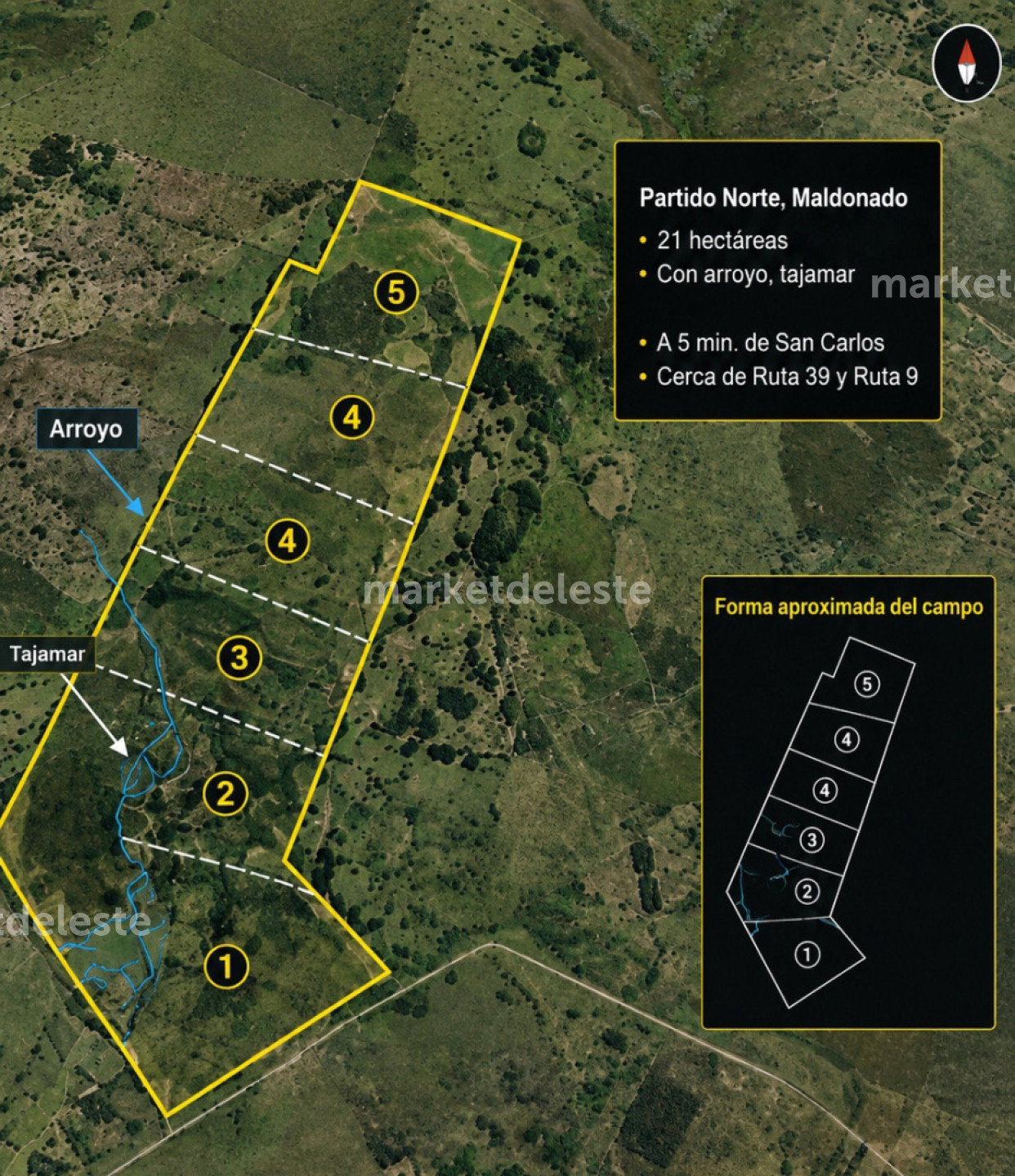 CHACRA DE 21 HA EN SIERRA DE LOS CARACOLES_MALDONADO UN EXCELENTE OPORTUNIDAD DE INVERSION  - MKT8409H