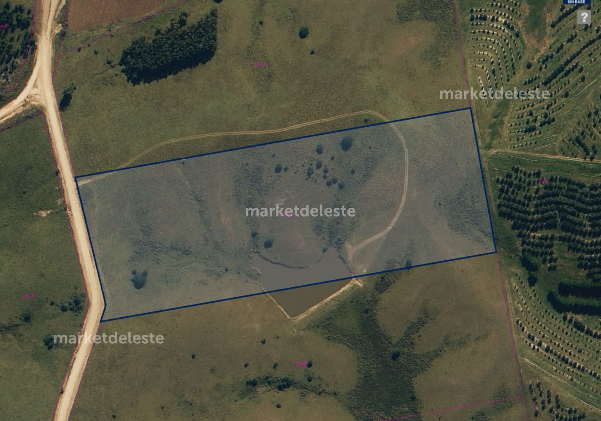 Chacra ID.5023 - CHACRA EN GARZON 6.93 HAS