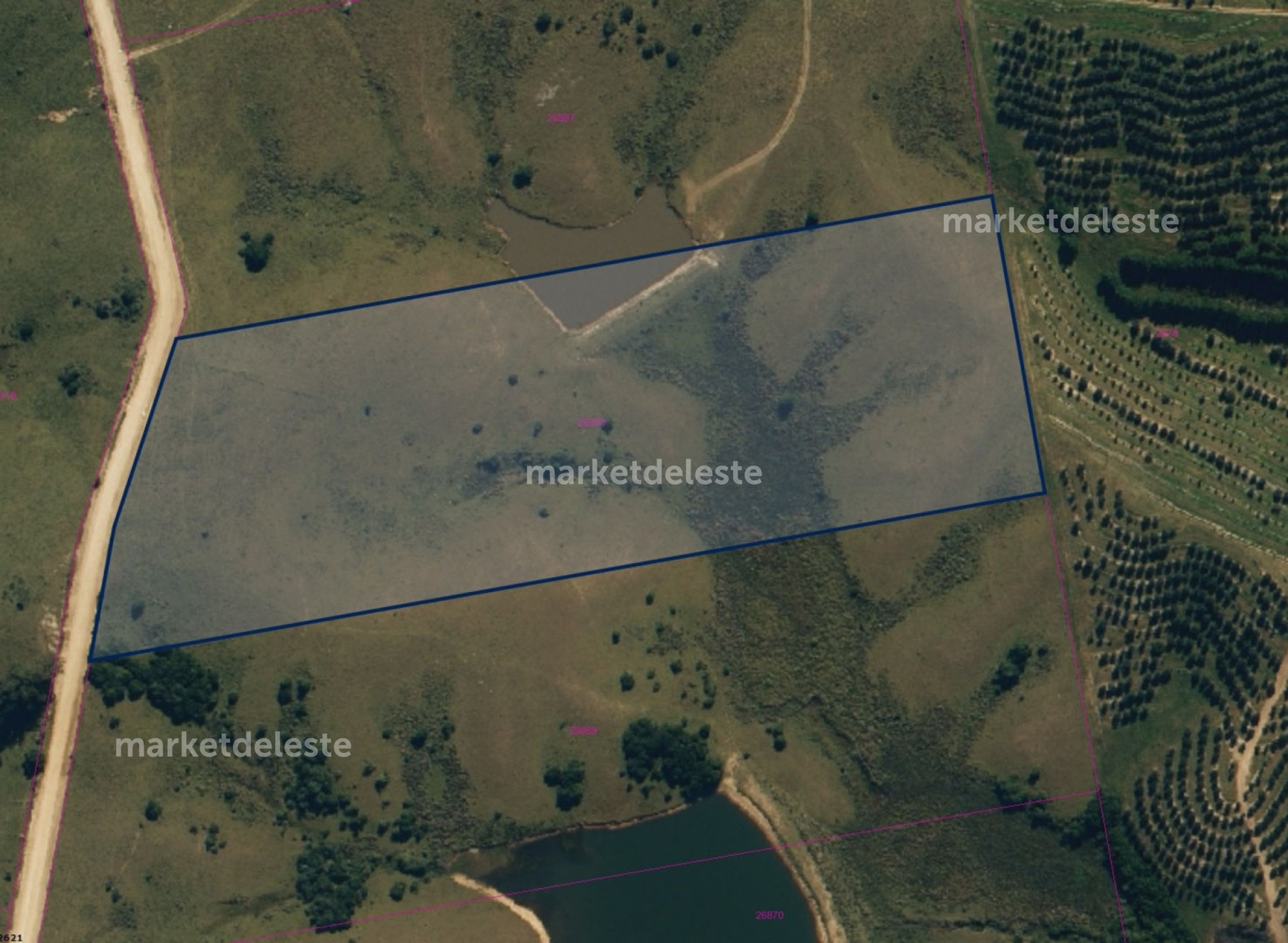 Chacra ID.5024 - CHACRA EN GARZON  7.7 HAS