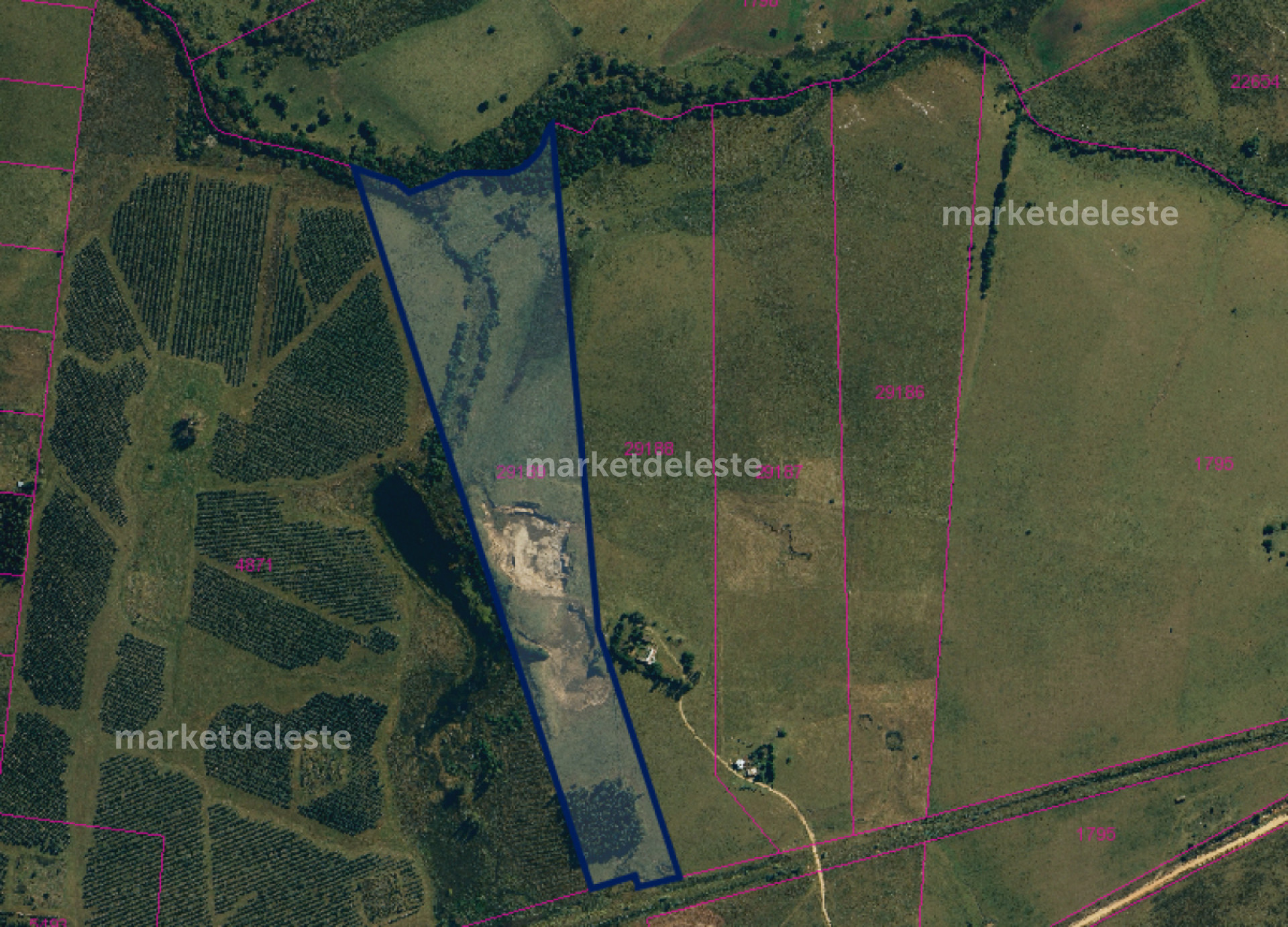 Chacra ID.7354 - CHACRA 15 has - SAN CARLOS